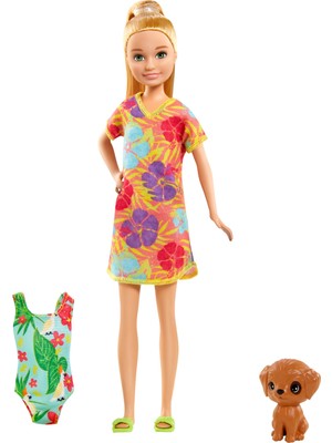 Barbie ve Chelsea Kayıp Doğum Günü Stacie Bebek, Sarı Saçlı, Çiçek Desenli Elbiseli, Hayvan Figürü ve Aksesuarları İle, 3-7 Yaş Arası İçin GRT89