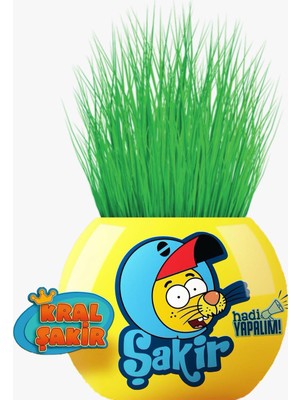 Grultu Çim Adam Figür Kral Şakir Şakir Hadi Yapalım, Cocopeat & Torflu Toprak, İngiliz Çimi, Kedi Otu KRS15