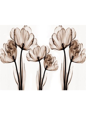 Eko Dekor 3D Çiçek Desen Tasarım Duvar Kağıdı Kanvas Tek Parca