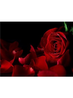 Eko Dekor Çiçek Desen 3D Özel Tasarım Duvar Kağıdı 0127 Vinil