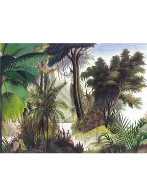 Eko Dekor Botanik Özel Tasarım Duvar Kağıdı Kanvas Tek Parca