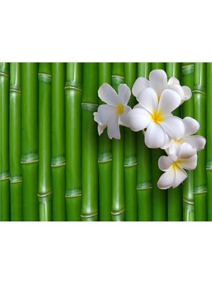 Eko Dekor Çiçek Desen 3D Özel Tasarım Duvar Kağıdı 0128 Kanvas Tek Parca