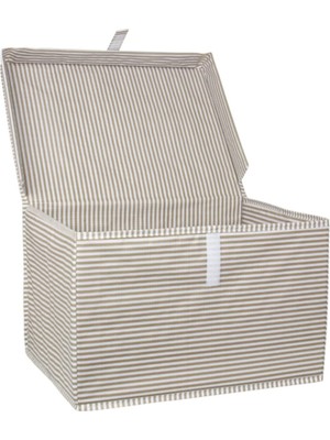 Alas Çok Amaçlı Kapaklı Kutu Hurç Mini 40*30*26 cm