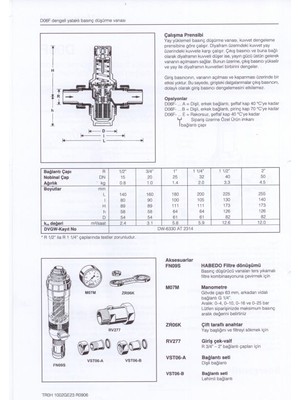 Honeywell D06F-1A Honeywell Su Basınç Düşürücü (Maks. 16 Bar) - Filtreli