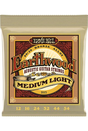 Ernie ball earthwood rock and outlet blues