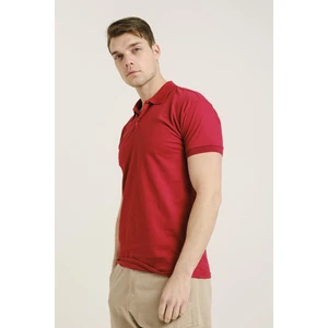 Alcott Polo Yaka Slim Fit Erkek Tshirt