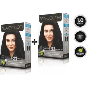 Sea Color 1.0  Siyah 2'li Set Boya