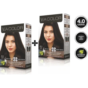 Sea Color 4.0  Kahve 2'li Set Boya