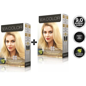 Sea Color 9.0  Buğday Sarısı 2'li Set Boya
