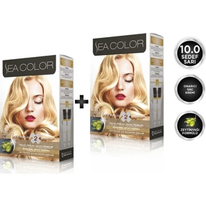 Sea Color 10.0 Sedef Sarı 2'li Set Boya