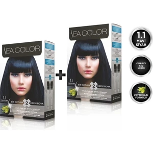Sea Color 1.1  Mavi Siyah 2'li Set Boya
