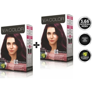 Sea Color 3.66  Patlıcan Moru 2'li Set Boya
