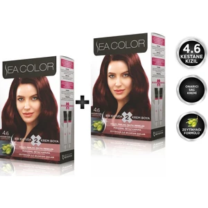Sea Color 4.6  Kestane Kızılı 2'li Set Boya