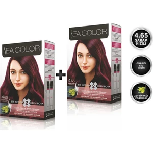 Sea Color 4.65  Şarap Kızılı 2'li Set Boya