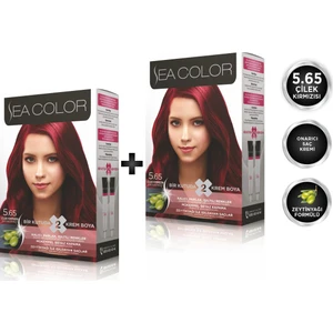 Sea Color 5.65  Çilek Kırmızısı  2'li Set Boya