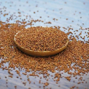 Akran Tarım Tere Tohumu Geniş Yapraklı 1 kg