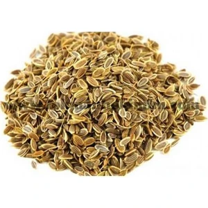 Akran Tarım Dereotu Dere Otu Tohumu 1 kg 1. Kalite