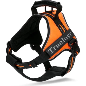 True Love Oxford Kumaşlı, Esnek Yumuşak Süngerli Turuncu Göğüs Tasması