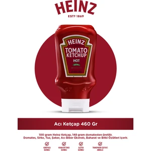 Acılı Ketçap 460 gr