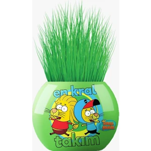 Çim Adam Figür Kral Şakir En Kral Takım, Cocopeat & Torflu Toprak, İngiliz Çimi, Kedi Otu KRS11