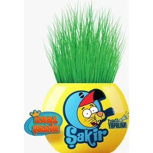 Çim Adam Figür Kral Şakir Şakir Hadi Yapalım, Cocopeat & Torflu Toprak, İngiliz Çimi, Kedi Otu KRS15