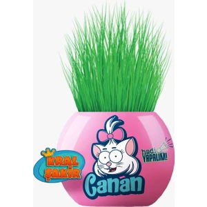 Çim Adam Figür Kral Şakir Canan Hadi Yakalım, Cocopeat & Torflu Toprak, İngiliz Çimi, Kedi Otu KRS20
