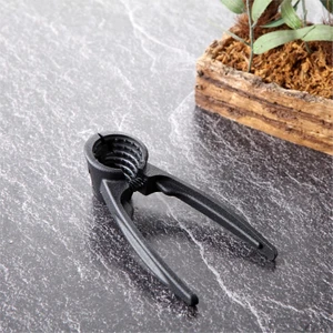 Ily Fındık Kıracağı