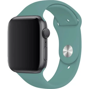 Apple Watch Uyumlu Silikon Spor Kordon 42 - 44 mm M/l  Ölçülerinde Kaktüs Yeşil