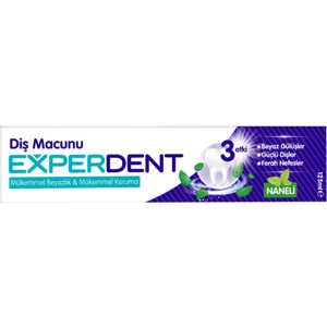 Diş Macunu Naneli 125 ml
