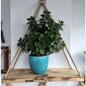 Ahşap Salıncak Dekoratif Duvar Rafı-Çiçeklik-Kitaplık