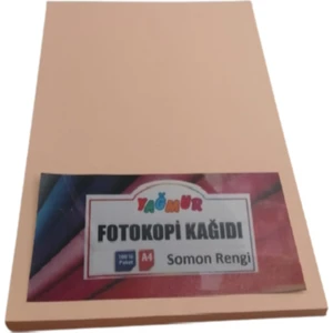 A4 Renkli Fotokopi Kağıdı Somon Rengi 100'LÜ Paket
