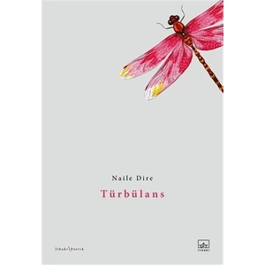Türbülans - Naile Dire