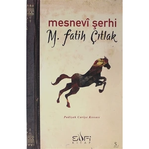 Mesnevi Şerhi-M. Fatih Çıtlak