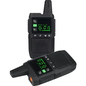 R-111 Gizli Ekranlı Pmr El Telsizi 2'li