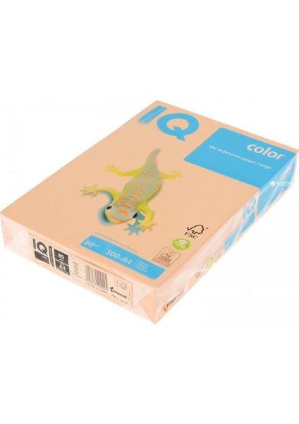 Mondi Iq Renkli Kağıt A4 80 GR/500 Somon