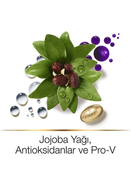 Hair Biology Renk Canlandırıcı ve Parlaklaştırıcı Maske Sarı Saçlar İçin Mor Şampuan Sonrası 160ML fırsatları