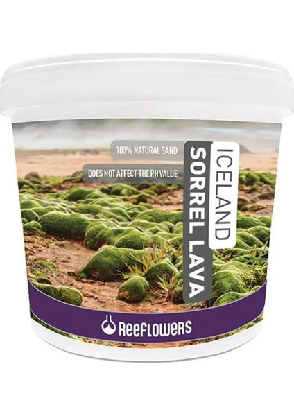 Reeflowers Iceland Sorrel Lava Bitki Kumu (4-6 Mm) 15 kg