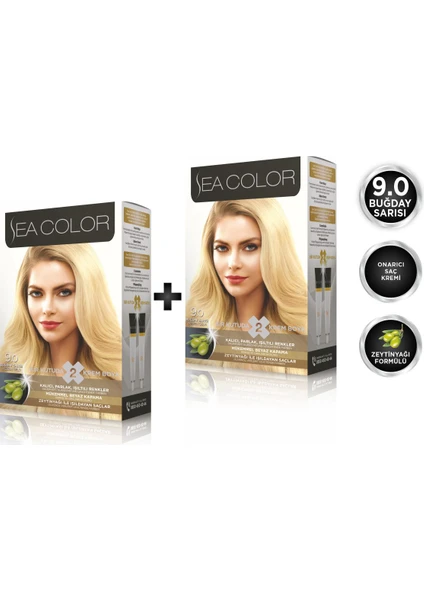 Sea Color 9.0  Buğday Sarısı 2'li Set Boya