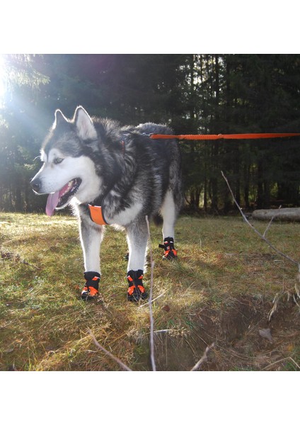 Suya Dayanıklı, Mikrofiber Kumaşlı Turuncu Köpek Ayakkabısı