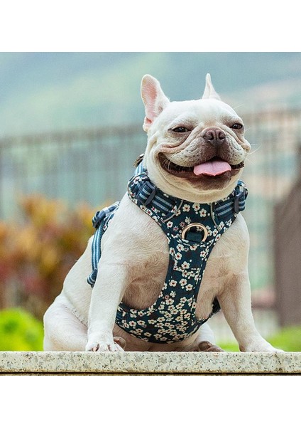 Çiçek Desenli, Alüminyum D-Halkalı, Ergonomik Mavi Göğüs Tasması indirimleri