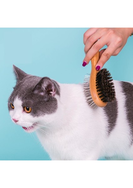 Bambu Kedi-Köpek Tarağı-Fırçası Large indirimleri