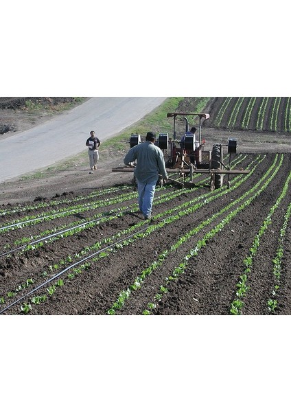 * Tohum * 50 mt Hazır Set Deliksiz Damla Sulama Hortumu