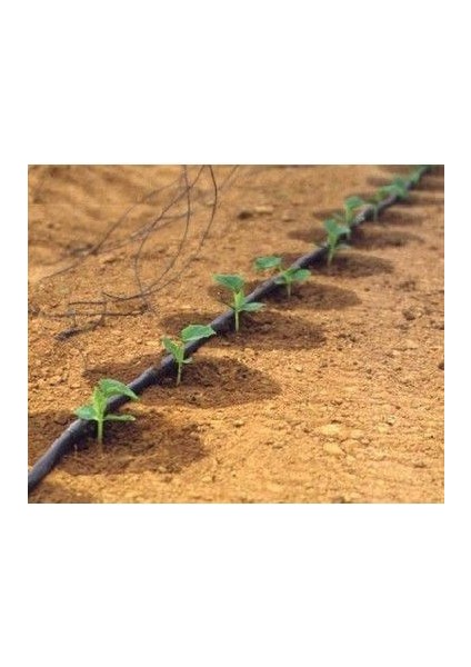 * Tohum * 350 mt Hazır Set Deliksiz Damla Sulama Hortumu