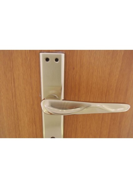 Roma Nikel Saten Aynalı Kapı Kolu Wc ( Sol )
