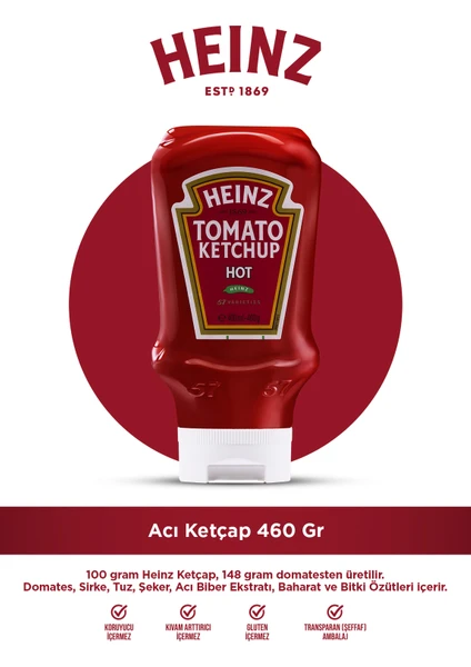 Acılı Ketçap 460 gr