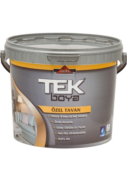 Tek 17,5 kg Tavan Plastik Boya Beyaz