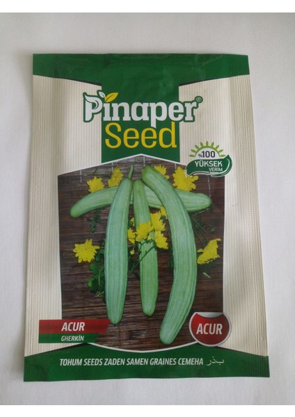 Pinaper Hıttı (Acur) Tohumu 10 gr