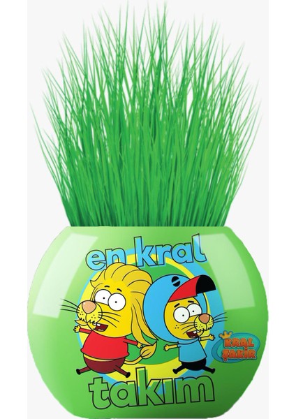 Çim Adam Figür Kral Şakir En Kral Takım, Cocopeat & Torflu Toprak, İngiliz Çimi, Kedi Otu KRS11