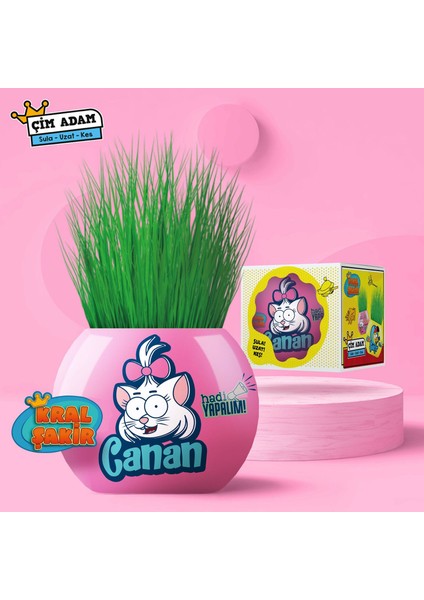 Çim Adam Figür Kral Şakir Canan Hadi Yakalım, Cocopeat & Torflu Toprak, İngiliz Çimi, Kedi Otu KRS20