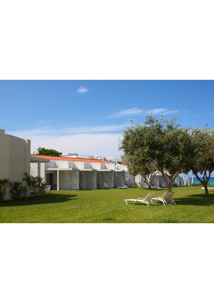 Holiday Çim Tohumu 1 kg fiyatları